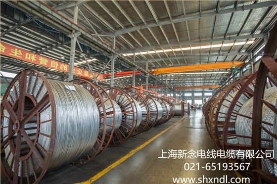 上海新念电线电缆有限公司厂房